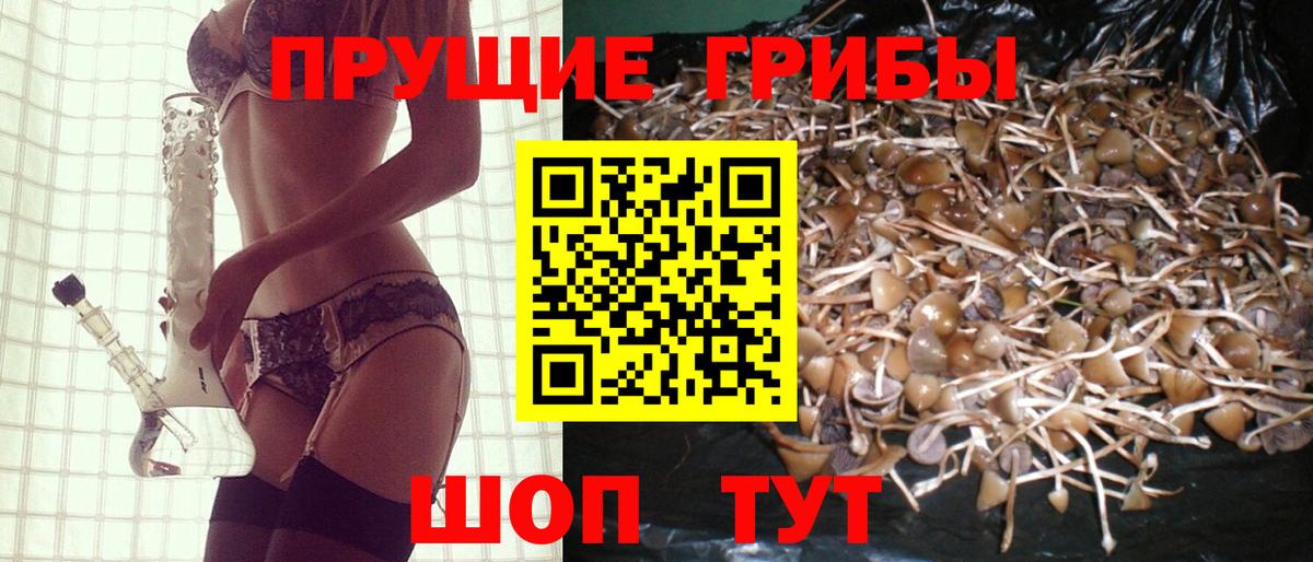 купить наркотики сайты  Галлюциногенные грибы мухоморы  Вход с VPN  Кулебаки 