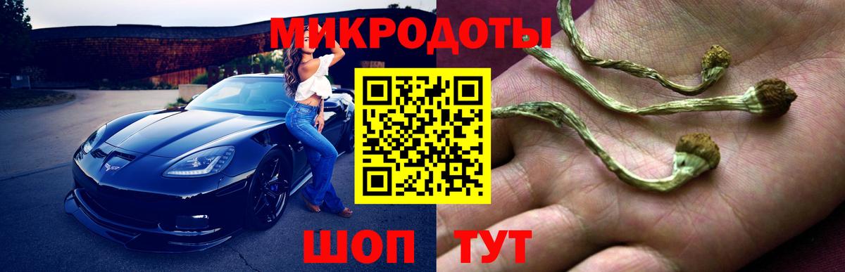 Псилоцибиновые грибы GOLDEN TEACHER Кулебаки